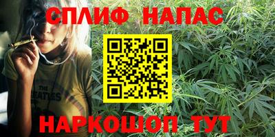 трава Кандалакша